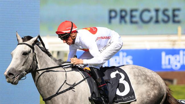 Promising stayer Love Tap has some big targets this spring. Picture: Mark Evans/Getty Images