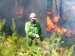 The Department of Sustainability and Environment (DSE) fuel reduction burn at Lorne. Darren Baulderas (Lorne DSE) sets fire t...