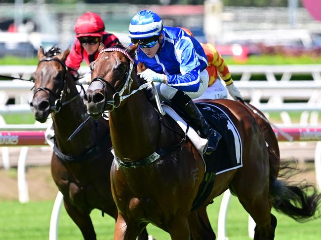 Steady Ready sizzles the turf at Eagle Farm to frank his credentials for the $750,000 King Of The Mountain slot race. Picture: Grant Peters, Trackside Photography.