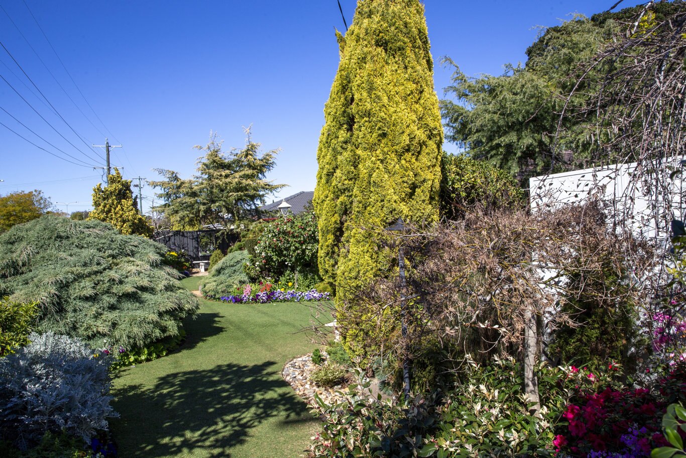 Garden For Good. Bob and Val Ford. Picture: Sarah Marshall