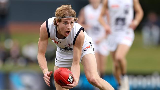 Defender Angus Hastie had a strong year. Picture: Jonathan DiMaggio/AFL Photos