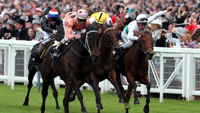 Black Caviar wins at Royal Ascot.