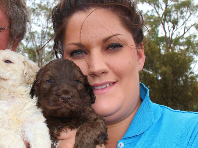 Puppy farms controversy, breeder Paul Bartlett, who operates Tasmanian Labradoodles at a farm near Epping Forest, and his daughter Lisa Bartlett with four-week-old cream and coffee coloured labradoodle pups from their farm