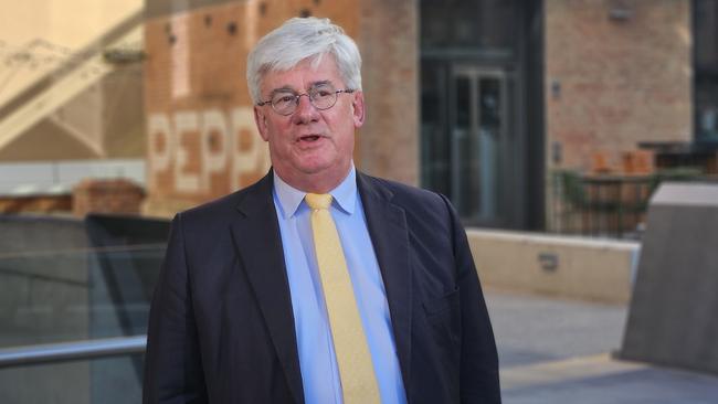 Economist Saul Eslake said unlike shares, calculating the value of property to auditing standards was complex and liable to dispute. Picture: Supplied