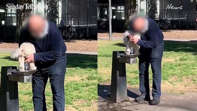 Man washes dog at park bubbler