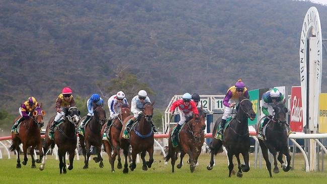 Rhinoceros, ridden by Jack Hill, took out the Dunkeld Cup. Pictures: Yuri Kouzmin