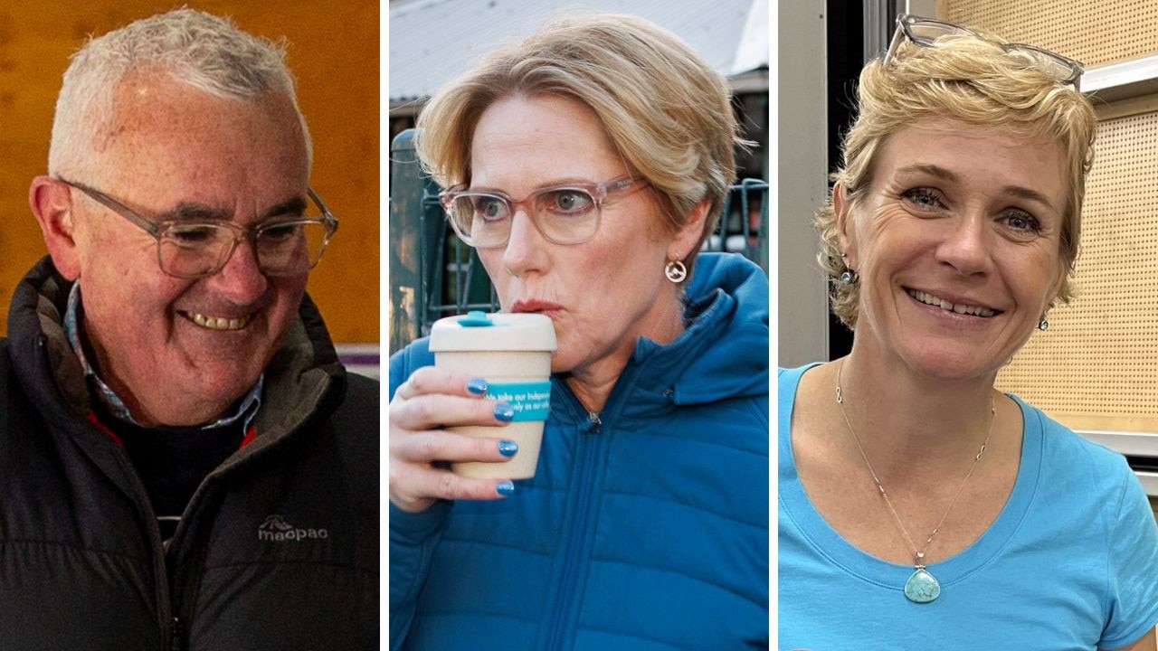 Teal appeal fails to hold as Coalition fights back