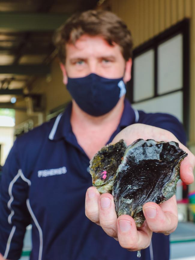 Matt Osborne, Project Leader of Aquaculture and regional development. Picture: Glenn Campbell