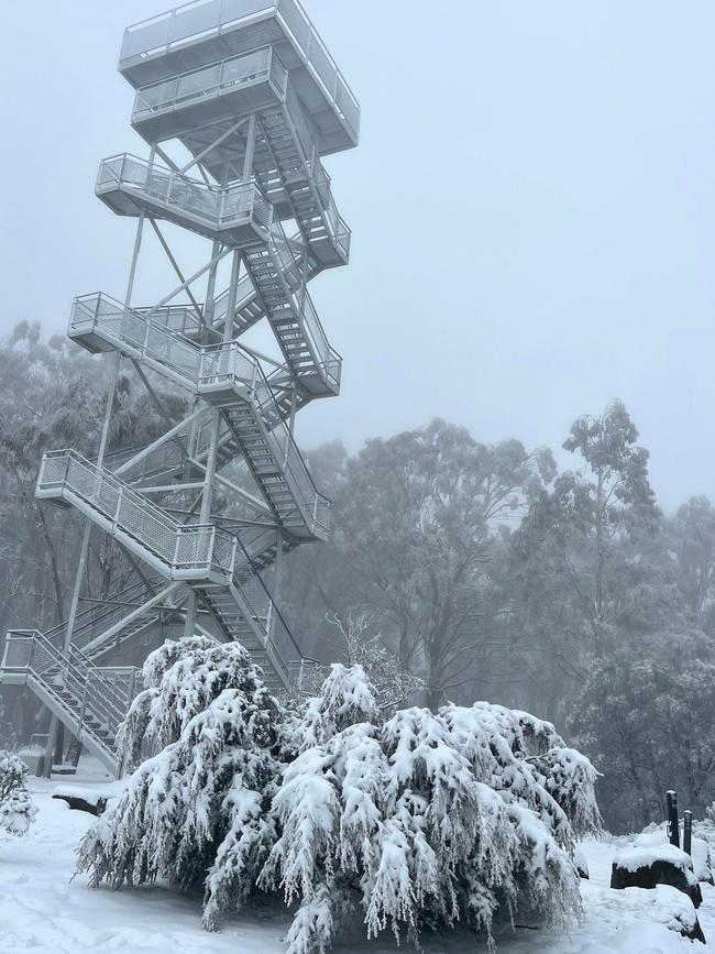 Snow at Mount Donna Buang. Picture: Rob Steer