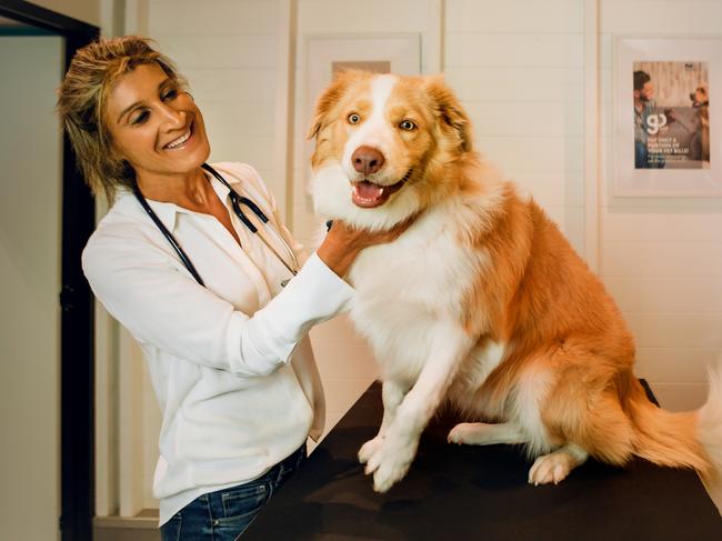 Petsure chief vet Magdoline Awad and her dog Rex.MUST CREDIT - Picture: Dogfolk Pet Photography