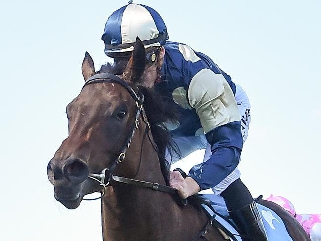 Bold Bastille ridden by Mark Zahra wins the Rightsize 365 Redoute's Choice Stakes at Caulfield Racecourse on March 16, 2024 in Caulfield, Australia. (Photo by Reg Ryan/Racing Photos via Getty Images)