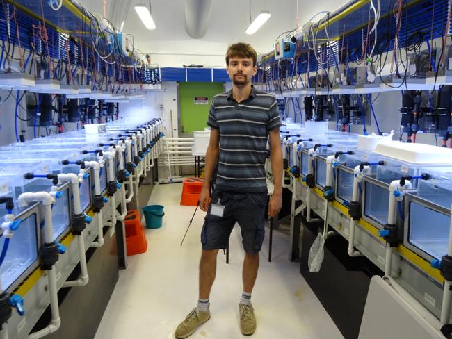 James Cook University PhD student Michael Jarrold is conducting an experiment at SeaSim. Picture: Charis Chang