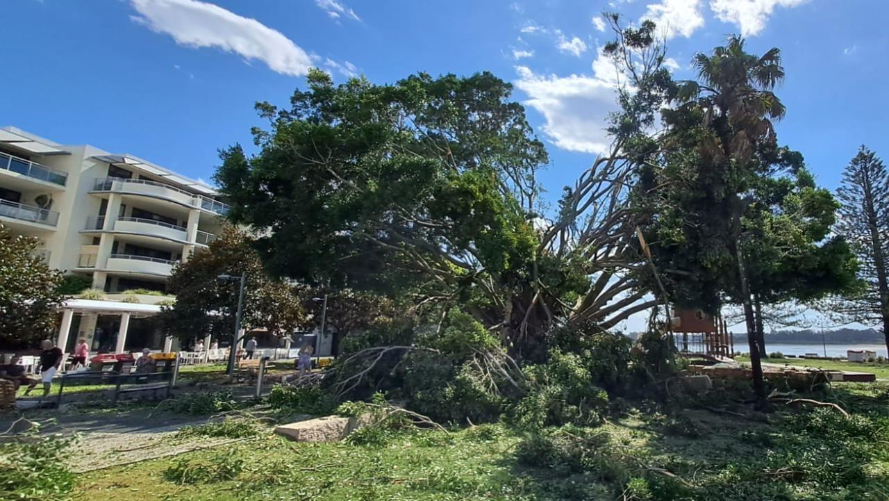 Port Macquarie has been struck by several natural disasters over the last three years.