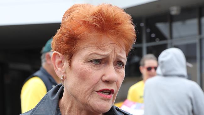 Senator Pauline Hanson lost an attempt to outlaw mandatory vaccinations, but she received support from several Liberal backbenchers and Coalition MPs. Picture: Tim Hunter.