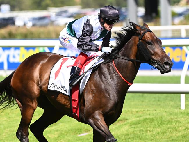 MELBOURNE, AUSTRALIA - FEBRUARY 24: Craig Williams riding Mr Brightside defeats Jamie Kah riding Pericles in Race 7, the Lamaro's Hotel Futurity Stakes, during Melbourne Racing at Caulfield Racecourse on February 24, 2024 in Melbourne, Australia. (Photo by Vince Caligiuri/Getty Images)