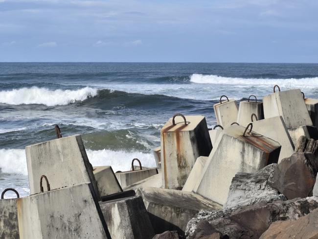 Boat allegedly ‘ran over’ whale and calf near Ballina wall