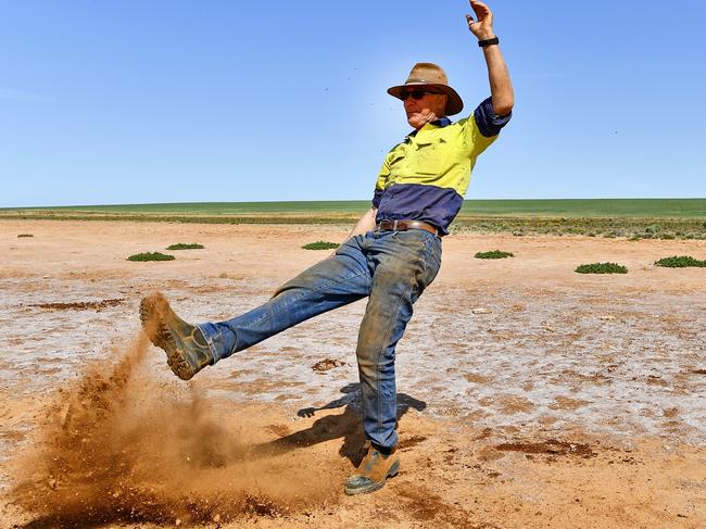 Yvette and Gary Frahn’s property adjoins the Noora Basin about 20km east of Loxton  and say expanding salinisation areas have gone further than initially predicted by the Environment Department, ruining their land. Picture: Grant Schwartzkopff