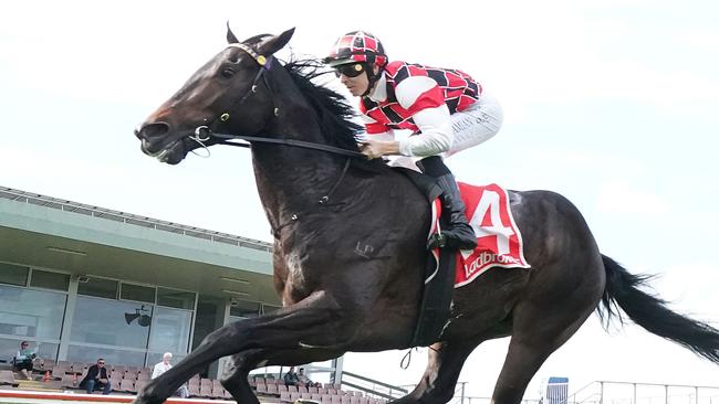 Victoria Derby runner-up Scary has three Group 1 races on his agenda in the autumn. Picture: Racing Photos via Getty Images