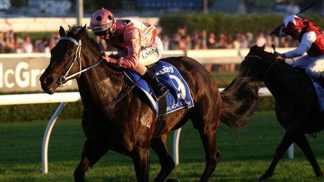 Black Caviar wins the 2013 TJ Smith Stakes.