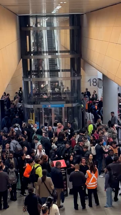 Chaos at Central Station after power lines collapsed