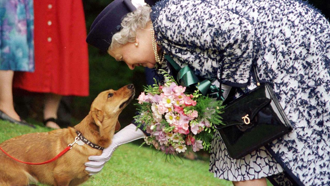 Queen Elizabeth II has always had corgis as pets.