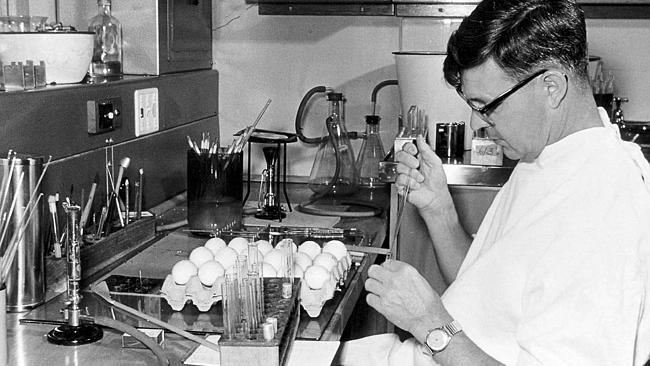  1958 : Professor Frank Fenner, microbiologist working in his lab injecting myxomatosis virus into eggs at John Curtin School of Medical Research at ANU in Canberra in 1958, which was used to help control rabbit problem. ACT / Education / Science Historical P/L 