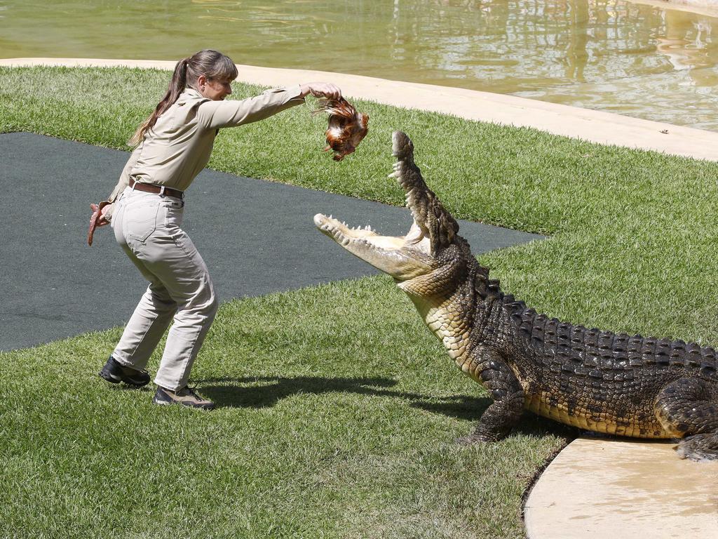 Teri Irwin at Australia Zoo. Picture: NCA NewsWire/Tertius Pickard