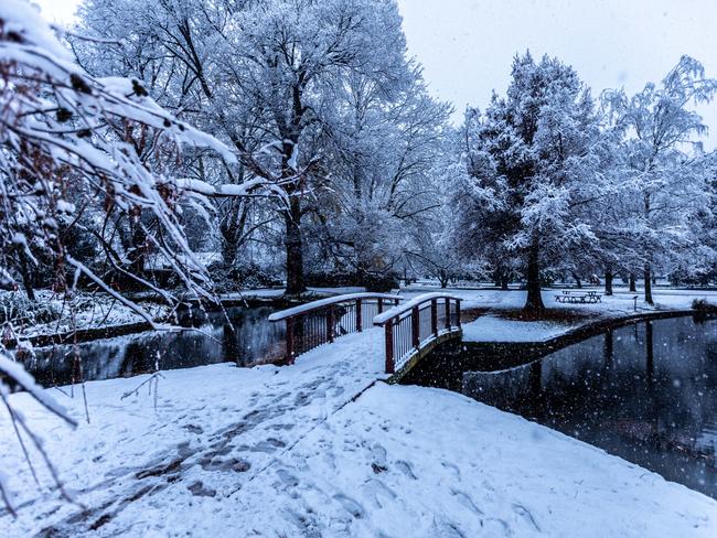 ORANGE , AUSTRALIA - NewsWire Photos JUNE 10, 2021: Heavy snowfall is pictured in the Orange Botanical Gardens in mid-western NSW as the region is blasted with freezing temperatures. NCA NewsWire /Troy Pearson