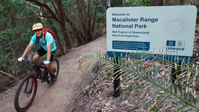 A mountain bike rider peddles along Stage One of the Wangetti Trail, an 7.8 kilometre stretch of what will eventually become a 94 kilometre hiking and mountain biking track connecting Palm Cove to Port Douglas along the Macalister Range National Park, designed and built by the Queensland Government and the local indigenous people. Picture: Brendan Radke