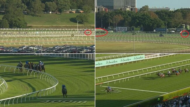 (From top left) Pride Of Jenni extends her lead at the 1200m and is 30 lengths in front at the 800m, and still has a big margin at the 400m and 100m. Picture: Racing NSW