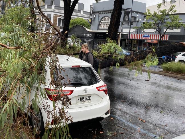 Tree down across The Parade at Norwood on Thursday afternoon. Picture: Miles Kemp