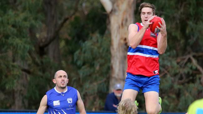 Max King flies for a mark on Saturday. Picture: Steve Bibby