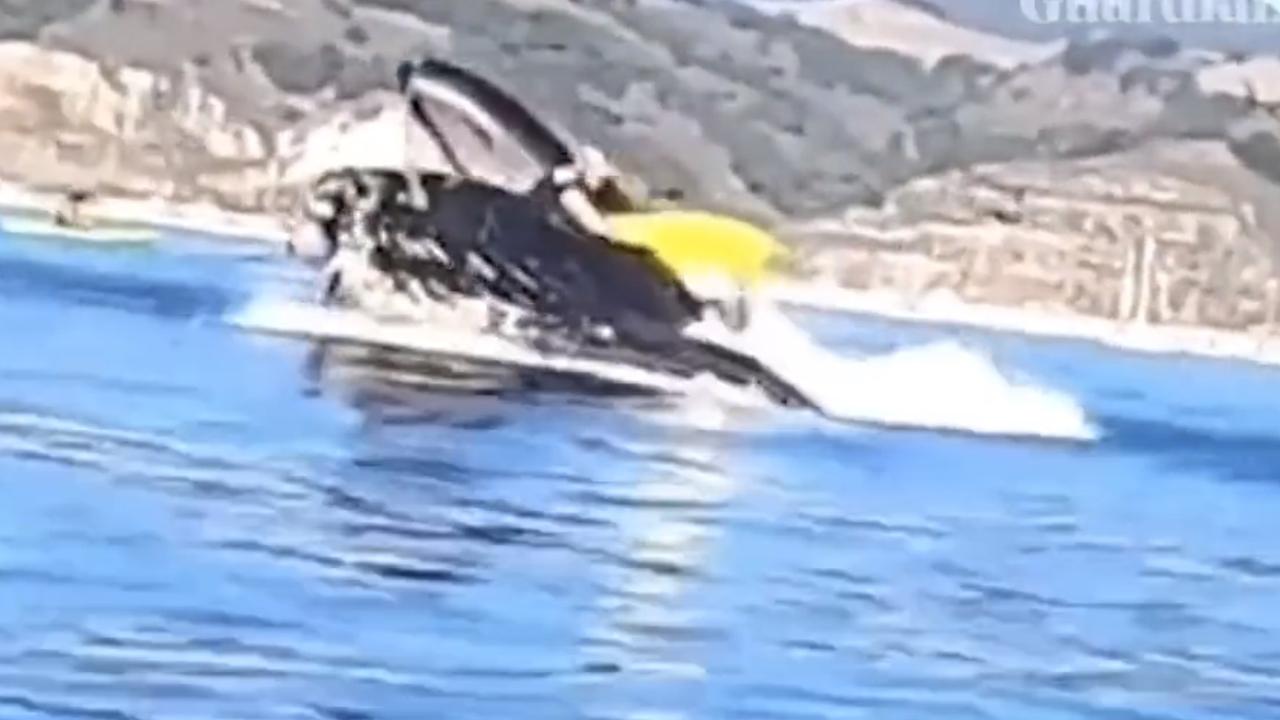 Surrealistyczny moment, w którym wieloryb połyka kajaki