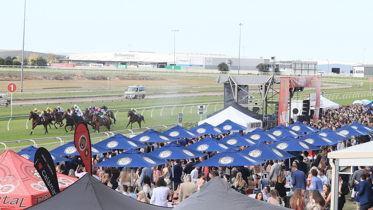 They’re racing at Doomben on Wednesday. Photo: Michael Early.