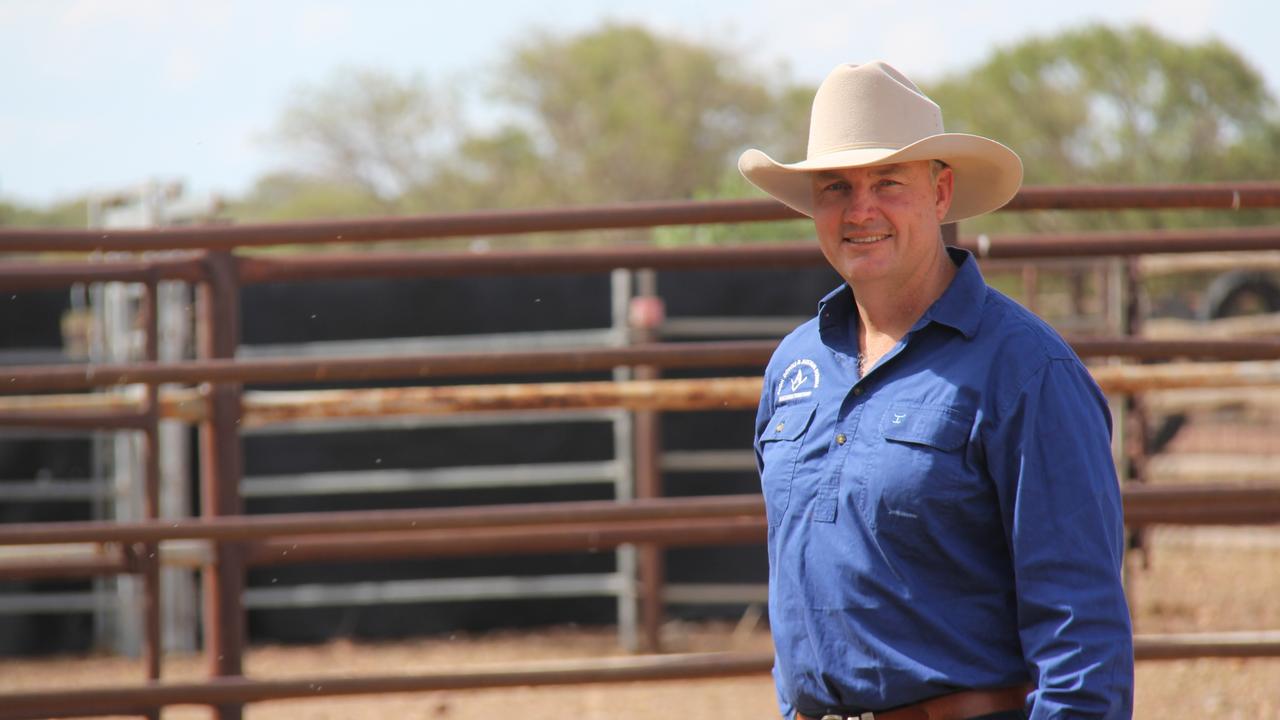 AACo feedlot expansion drives sales volumes