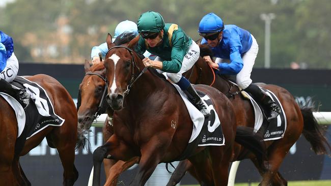 Berry will ride Fearless (pictured) in the Group 1 Golden Rose. Picture: Jeremy Ng/Getty Images