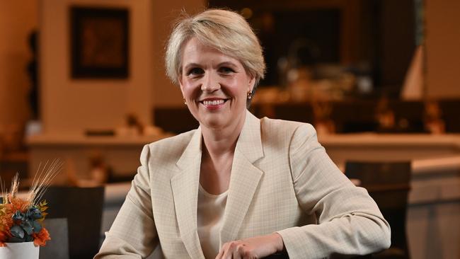 Environment Minister Tanya Plibersek. Picture: Keryn Stevens