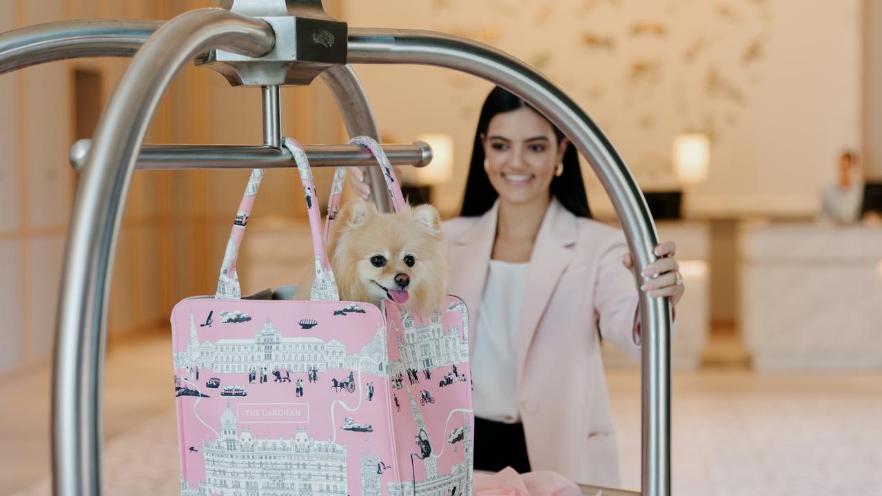 ‘Huge market’: Luxury Gold Coast hotel to welcome dogs