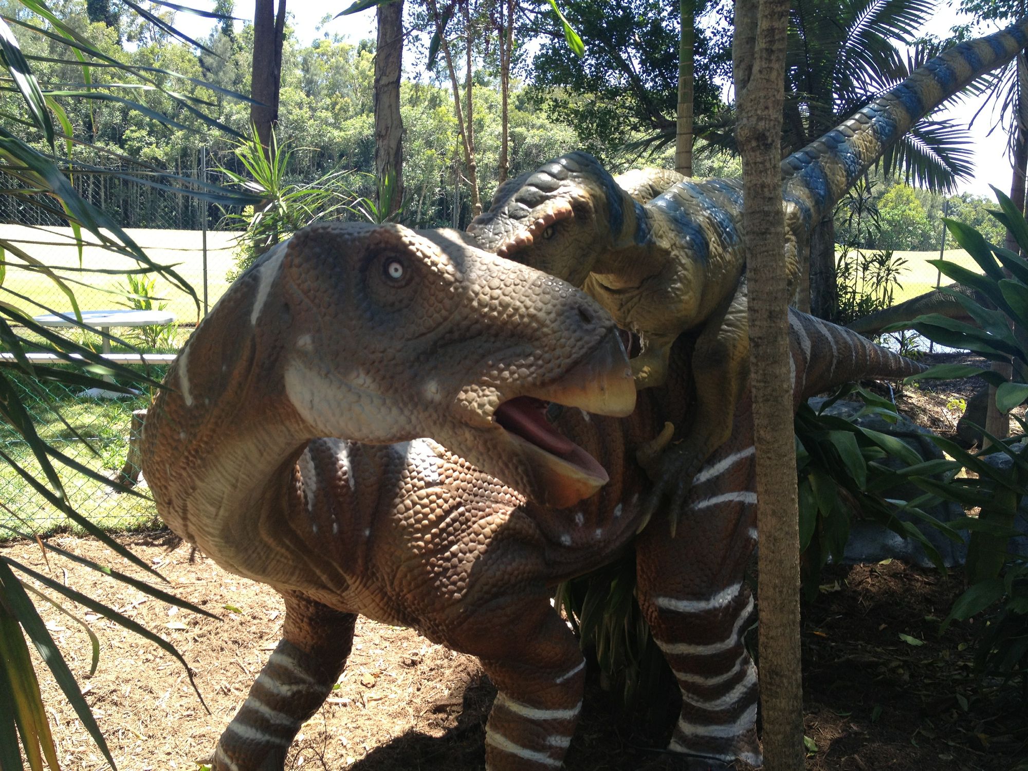 Inside the Palmersaurus. Picture: Patrick Williams