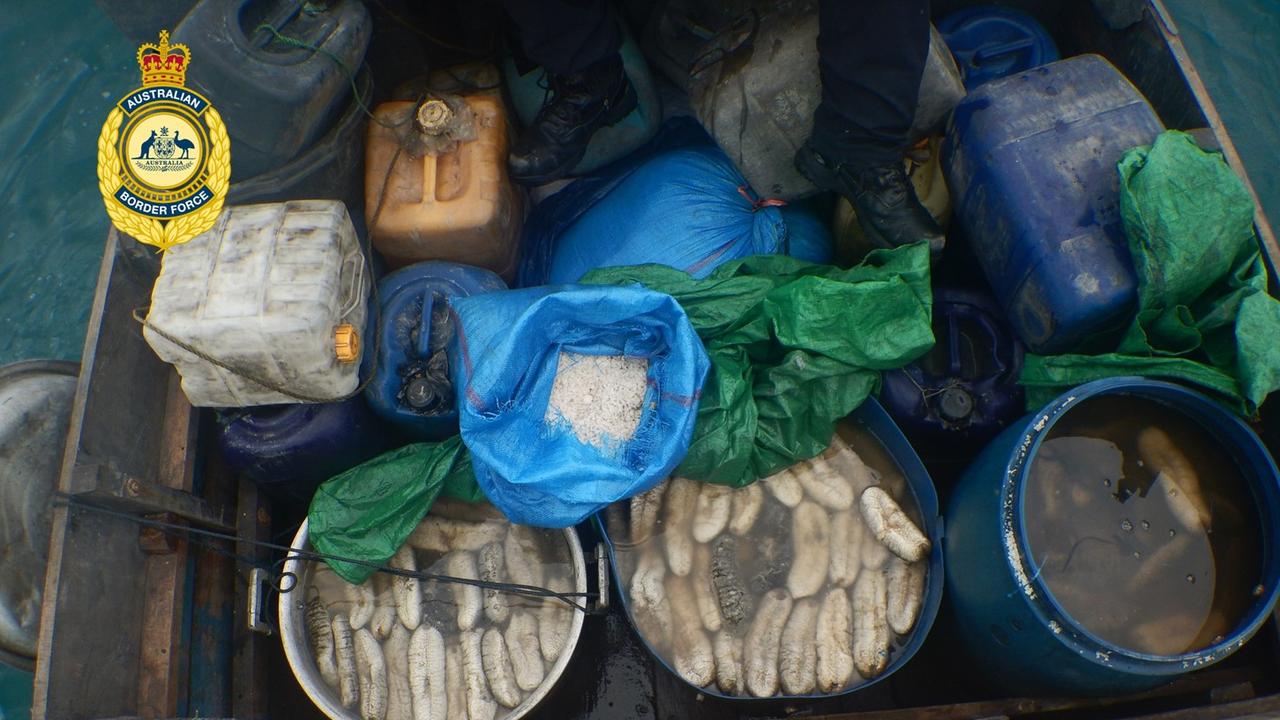 A still showing part of the 3.2 tonnes of sea cucumber found aboard an illegal fishing boat this week. Picture: Supplied.