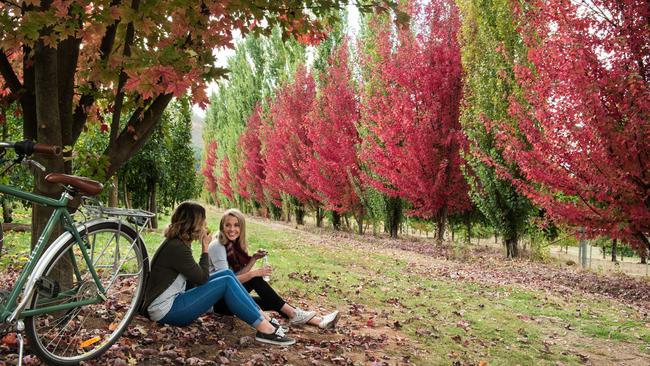 There is plenty of outdoor adventure to be had in Victoria’s High Country. Picture: Emily Godfrey