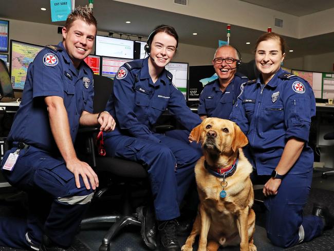 WEEKEND TELEGRAPHS SPECIAL. MUST TALK WITH PIC ED JEFF DARMANIN BEFORE PUBLISHING - Pictured at the NSW Ambulance Control Centre today with dog Solly is Grant OÃBrien Intensive Care Paramedic Control Center Officer, Rosie Tomkins Control Center Assistant, Nick Boxall Call Taker Team Leader, Sarah Black Paramedic Duty Control Center Officer. Picture: Tim Hunter.