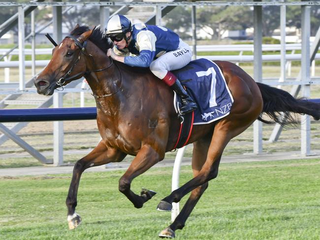 The Gai Waterhouse and Adrian Bott-trained Alot A Lip can make it two in-a-row when she heads to Kembla on Thursday. Picture: Bradley Photos