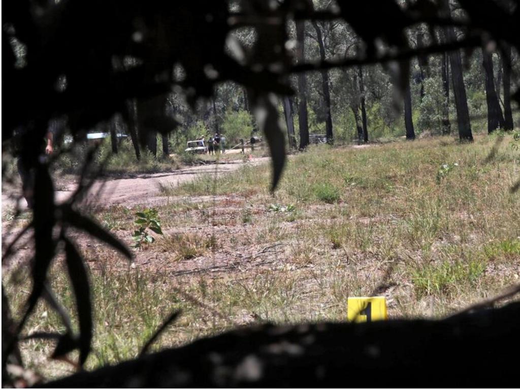 The view from inside one of the sniper hides looking out towards the property.