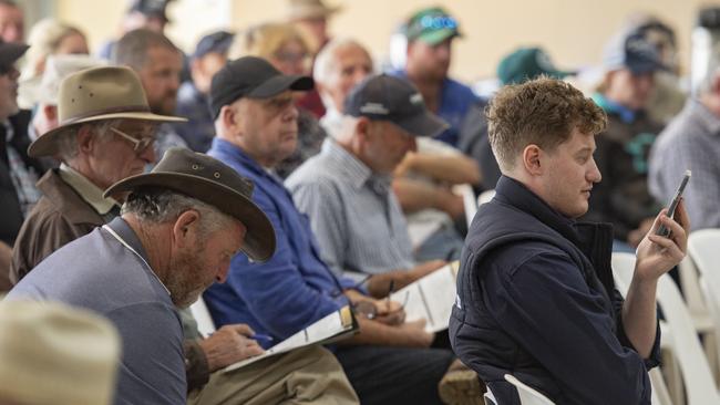 Buyers gather during the Kelly Angus on-property sale. Picture: Zoe Phillips