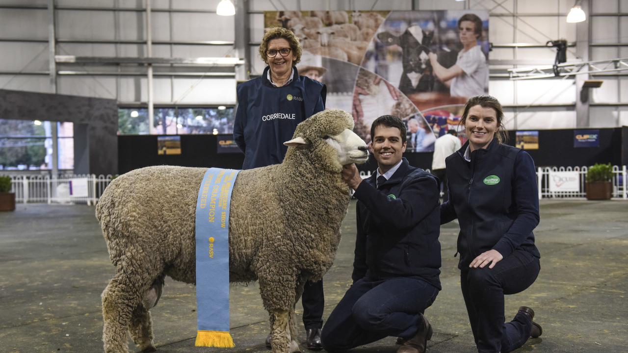 The supreme interbreed exhibit, a Corriedale ram, with breeder Bron Ellis of Sweetfield Corriedales, Mount Moriac, son Leigh Ellis, and his partner Casey Tomkins from Mount Moriac, at the Royal Melbourne Show. Photo: Dannika Bonser