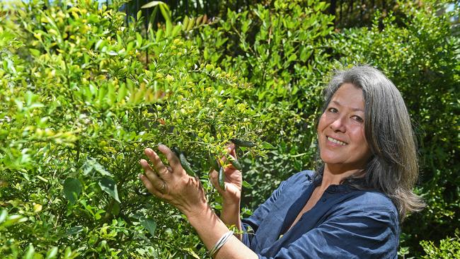 Alison Mitchell with a finger lime tree in the Adelaide Botanic Garden. Picture: Tom Huntley