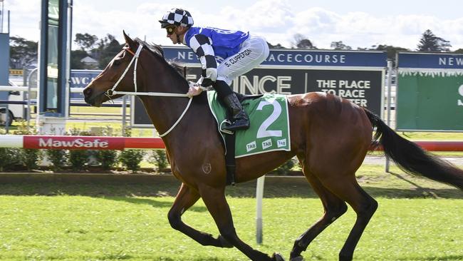 Barazin looks well placed to break through for his first Australian win at Randwick-Kensington. Picture: Bradley Photos