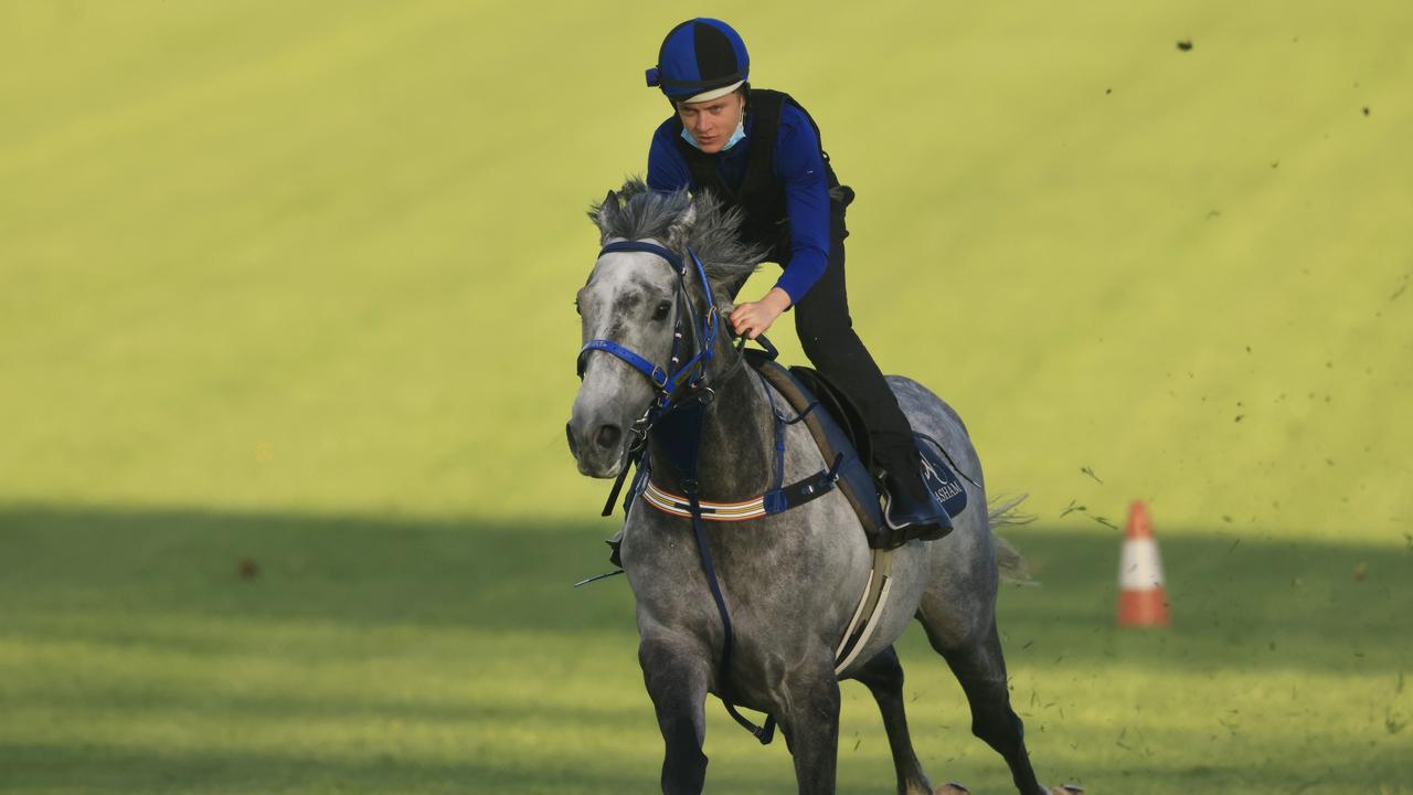 Canterbury Trackwork Session