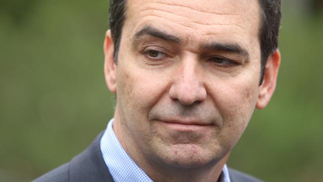 Steven Marshall could have a very large majority if he can channel public confidence.